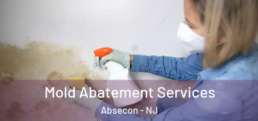 Mold Abatement Services Absecon - NJ