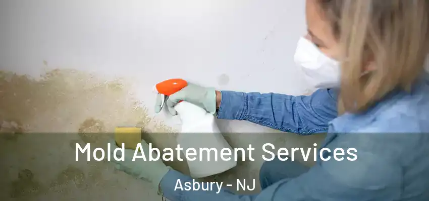 Mold Abatement Services Asbury - NJ
