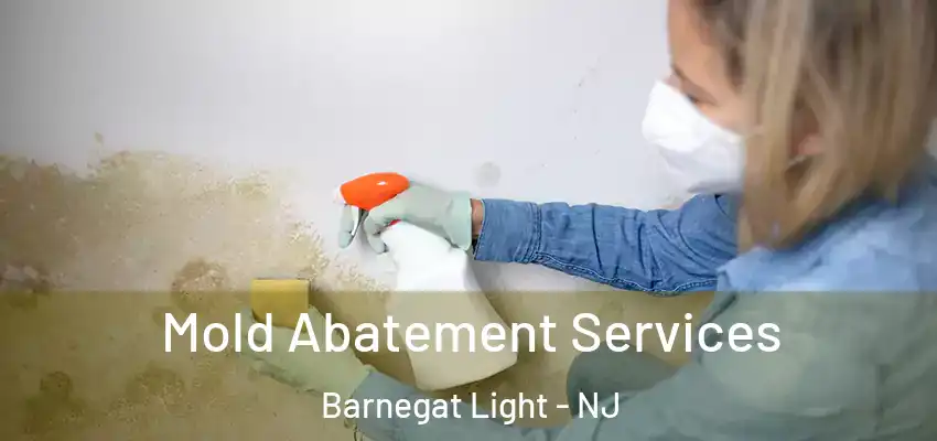 Mold Abatement Services Barnegat Light - NJ