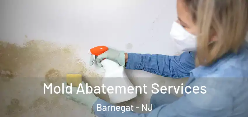 Mold Abatement Services Barnegat - NJ