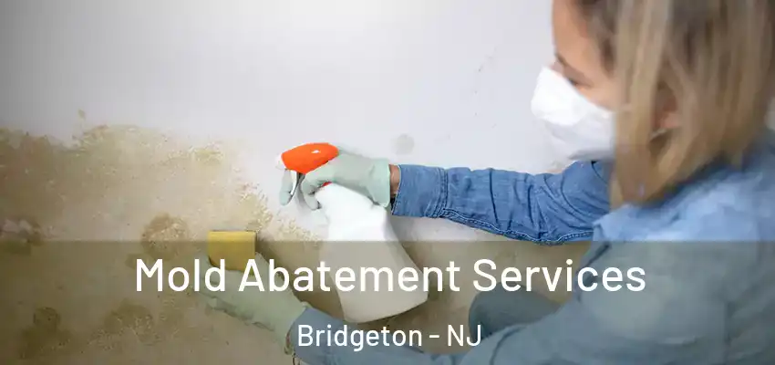 Mold Abatement Services Bridgeton - NJ