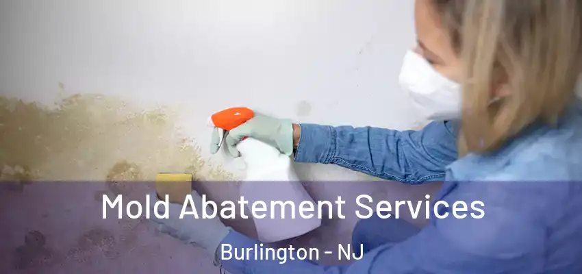 Mold Abatement Services Burlington - NJ