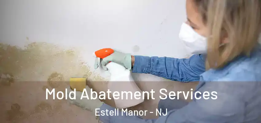 Mold Abatement Services Estell Manor - NJ