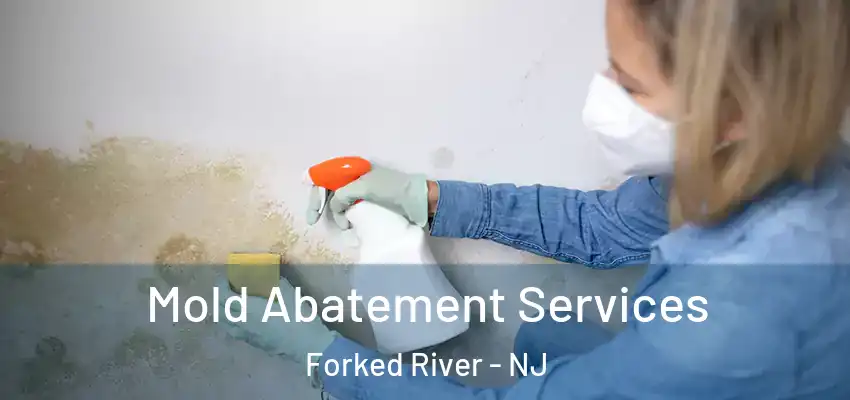  Mold Abatement Services Forked River - NJ