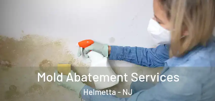  Mold Abatement Services Helmetta - NJ