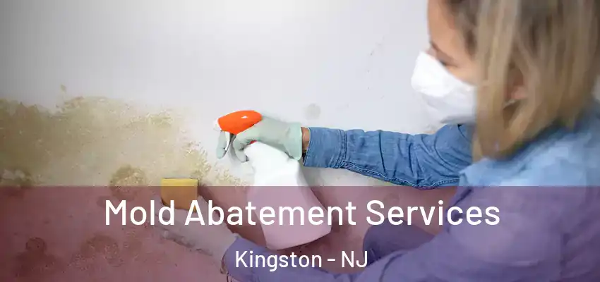 Mold Abatement Services Kingston - NJ