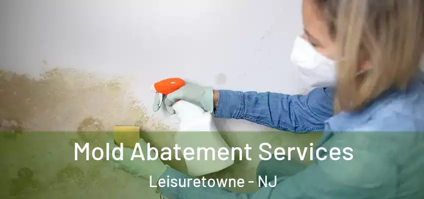  Mold Abatement Services Leisuretowne - NJ