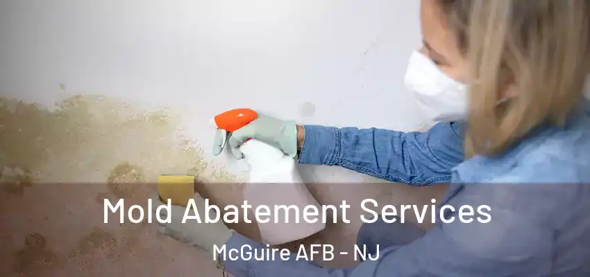 Mold Abatement Services McGuire AFB - NJ