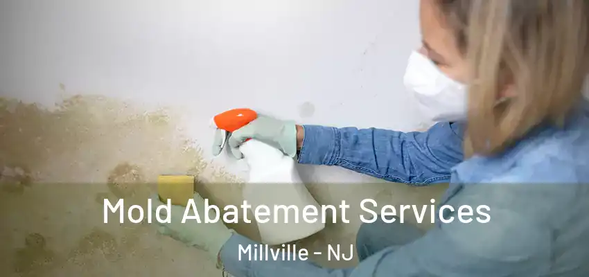 Mold Abatement Services Millville - NJ