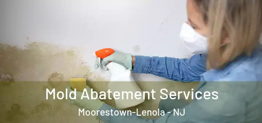 Mold Abatement Services Moorestown-Lenola - NJ