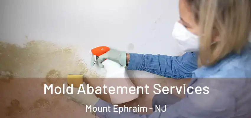  Mold Abatement Services Mount Ephraim - NJ