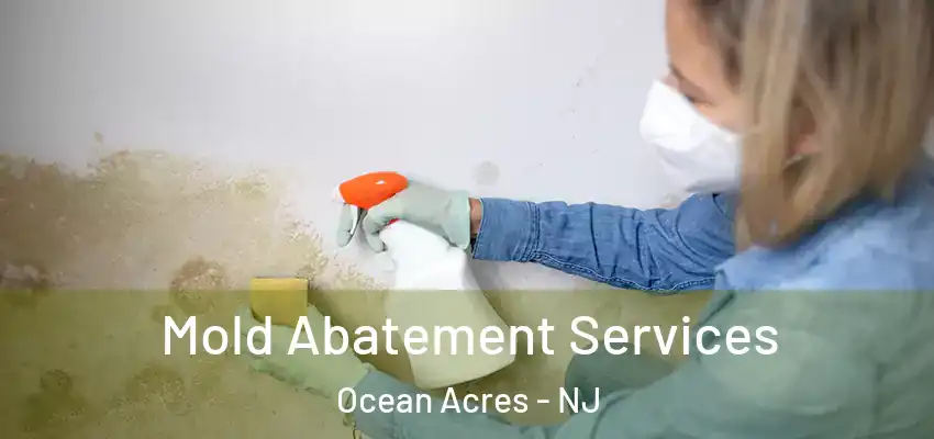 Mold Abatement Services Ocean Acres - NJ