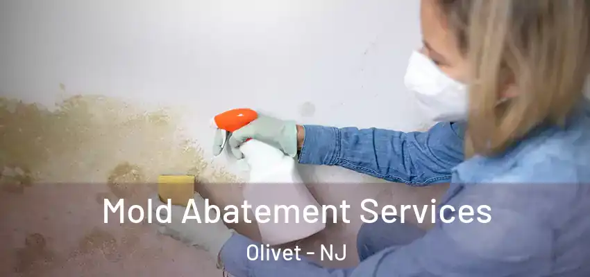 Mold Abatement Services Olivet - NJ