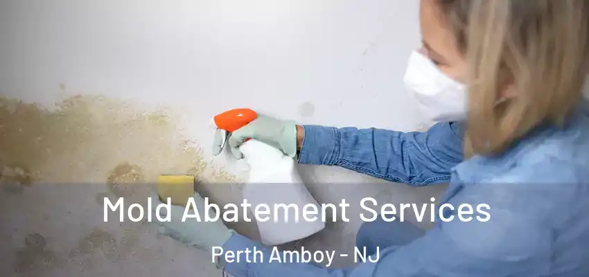 Mold Abatement Services Perth Amboy - NJ