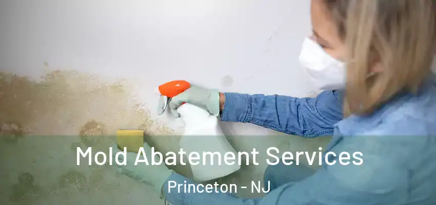 Mold Abatement Services Princeton - NJ