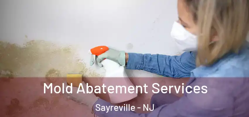  Mold Abatement Services Sayreville - NJ