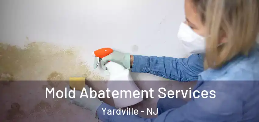 Mold Abatement Services Yardville - NJ