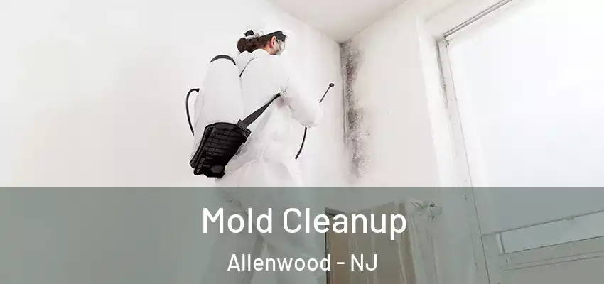Mold Cleanup Allenwood - NJ