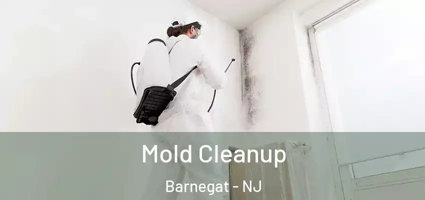  Mold Cleanup Barnegat - NJ