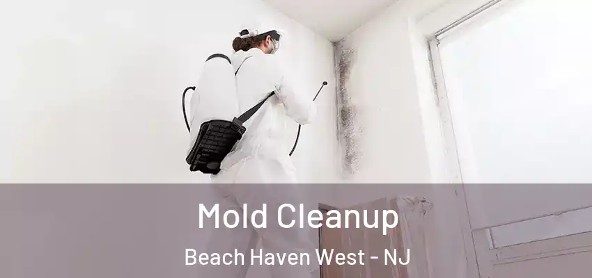  Mold Cleanup Beach Haven West - NJ