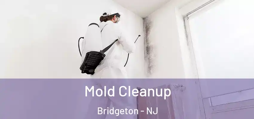  Mold Cleanup Bridgeton - NJ