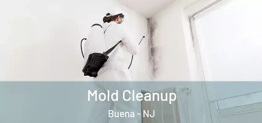  Mold Cleanup Buena - NJ