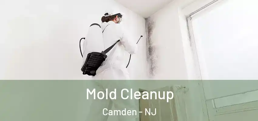  Mold Cleanup Camden - NJ