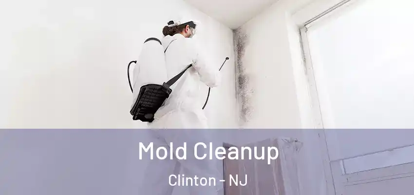  Mold Cleanup Clinton - NJ