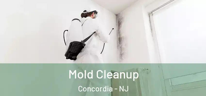  Mold Cleanup Concordia - NJ