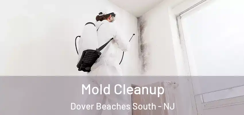 Mold Cleanup Dover Beaches South - NJ
