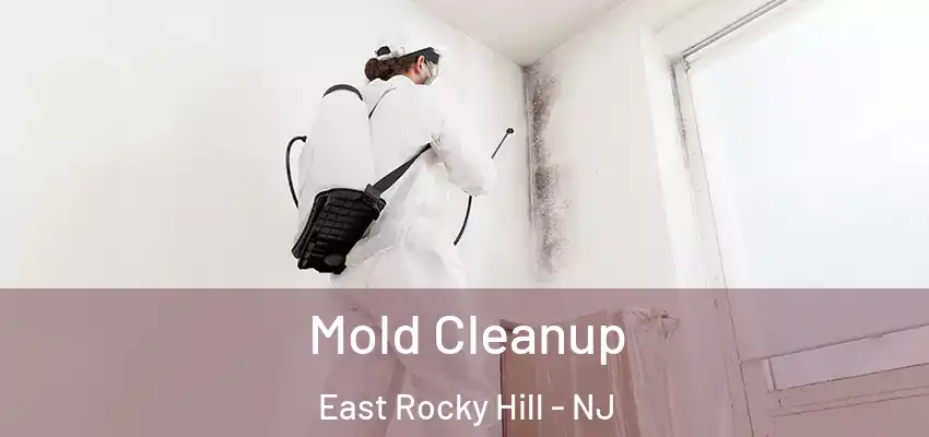 Mold Cleanup East Rocky Hill - NJ