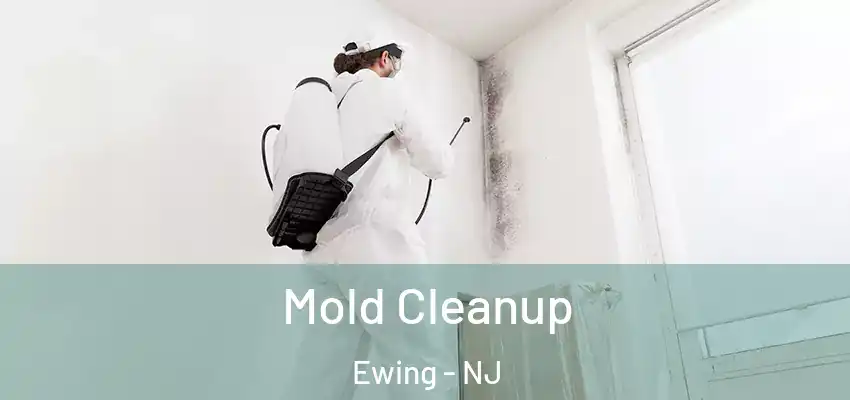 Mold Cleanup Ewing - NJ