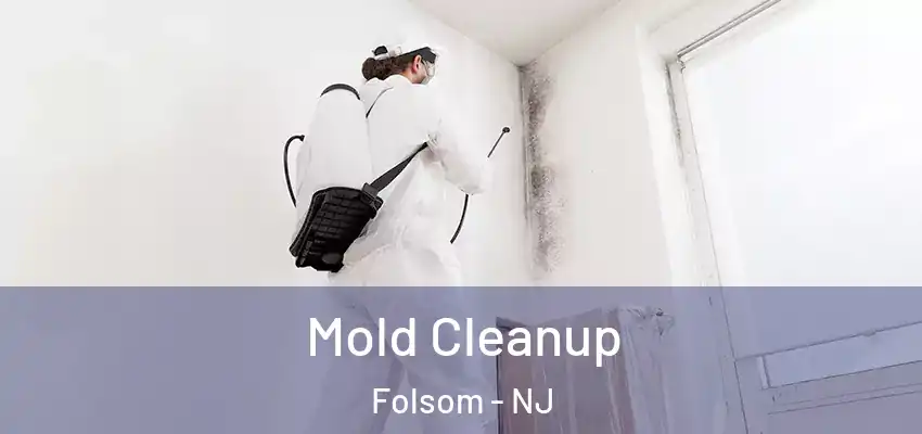 Mold Cleanup Folsom - NJ