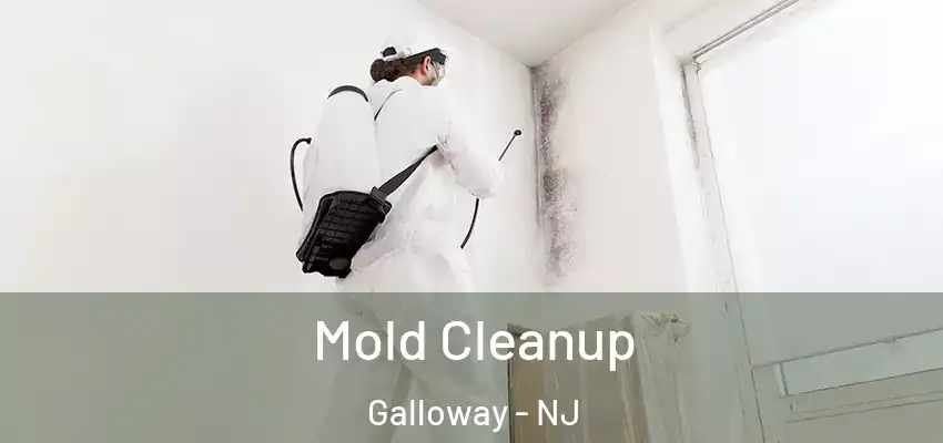  Mold Cleanup Galloway - NJ