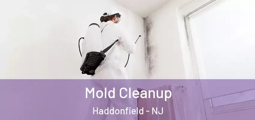  Mold Cleanup Haddonfield - NJ