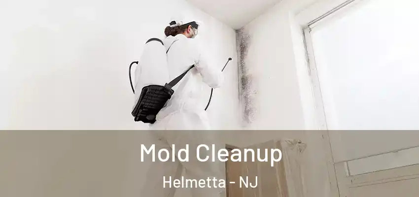  Mold Cleanup Helmetta - NJ