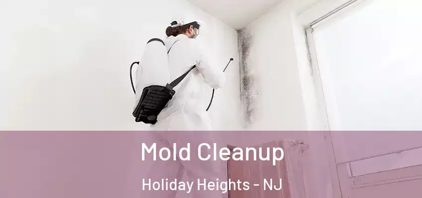 Mold Cleanup Holiday Heights - NJ