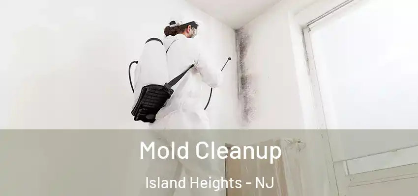  Mold Cleanup Island Heights - NJ