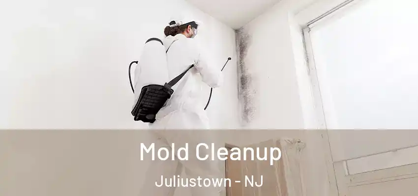  Mold Cleanup Juliustown - NJ
