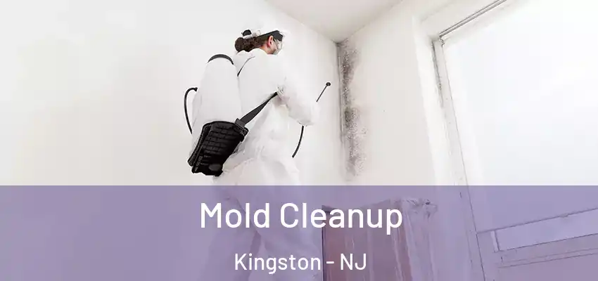  Mold Cleanup Kingston - NJ