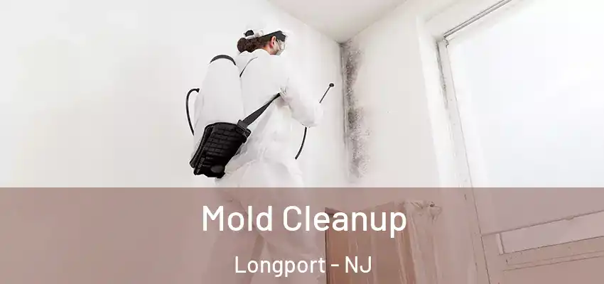 Mold Cleanup Longport - NJ