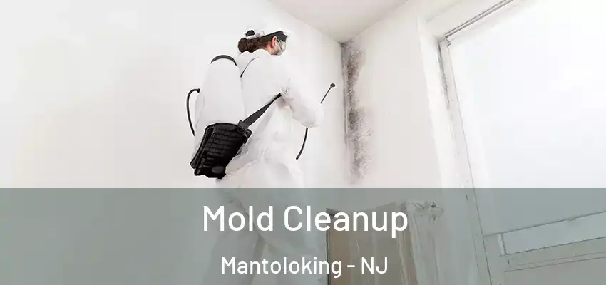  Mold Cleanup Mantoloking - NJ