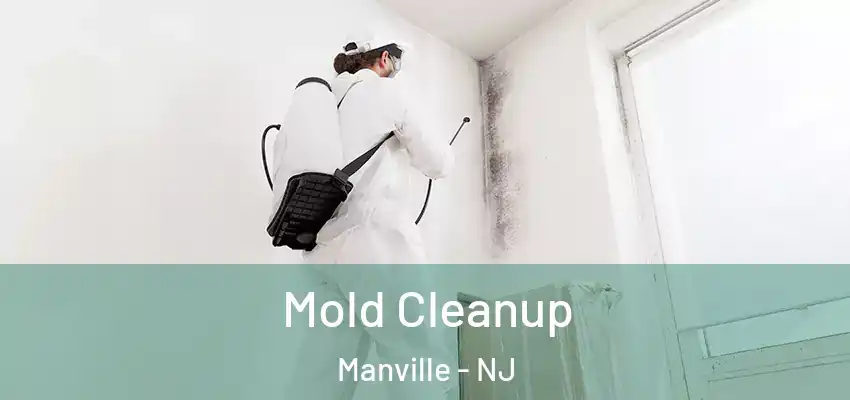 Mold Cleanup Manville - NJ