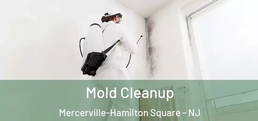 Mold Cleanup Mercerville-Hamilton Square - NJ
