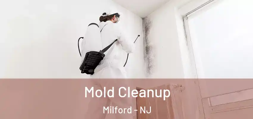 Mold Cleanup Milford - NJ