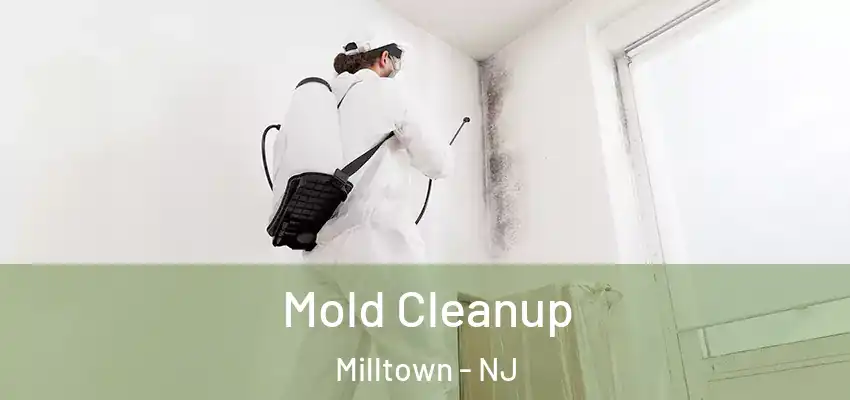  Mold Cleanup Milltown - NJ