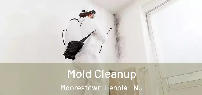 Mold Cleanup Moorestown-Lenola - NJ