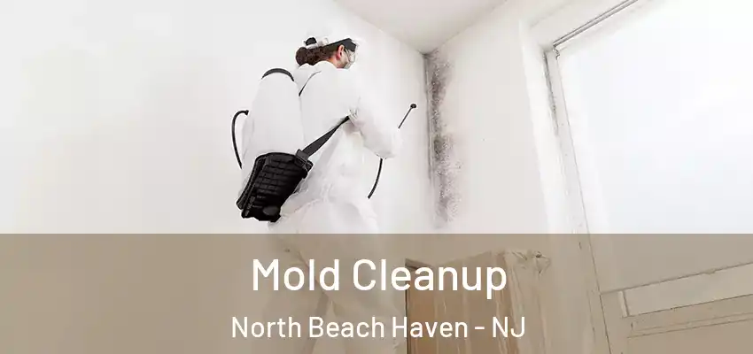Mold Cleanup North Beach Haven - NJ