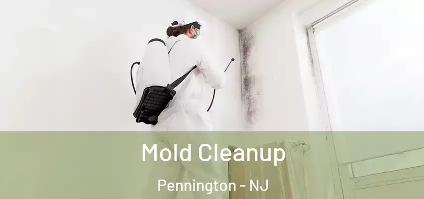 Mold Cleanup Pennington - NJ