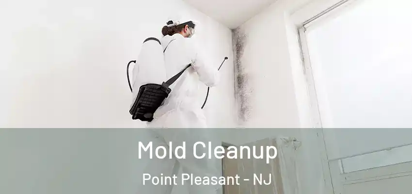  Mold Cleanup Point Pleasant - NJ